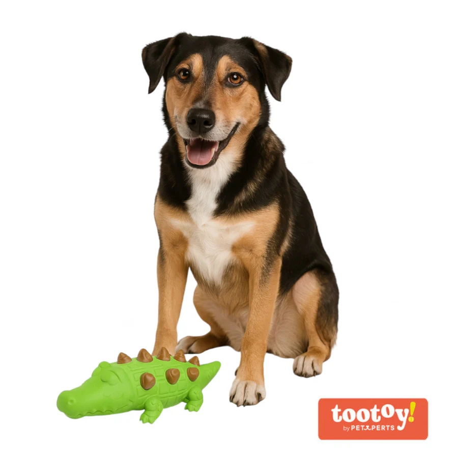 Tootoy! Chew Croco Treat mordedor dispensador de snacks para cães - Image 2
