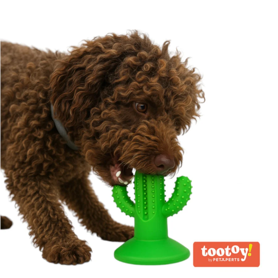 Tootoy! Chew Dental Hygiene Cactus Mordedor para cães - Image 2