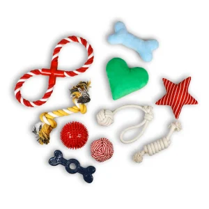 Tootoy! Chew Exploration Toys - Conjunto de brinquedos para cachorros