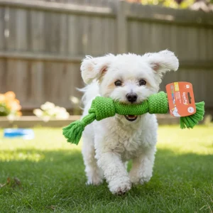 Tootoy! Pull Mordedor corda com apito tamanho médio para cães