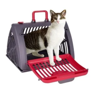 Transportadora Dobrável