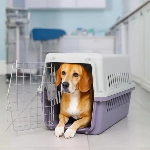 Transportadora Rígida para Gato e Cão — Fecho Push-Up
