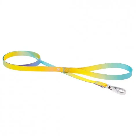 Trela Motif Rainbow para cães – Ferribiella – Tamanho: L
