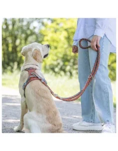 Trela para Cão Ajustável Cavo (laranja / cinzento)