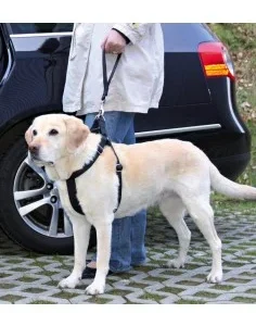 Trela com Engate Cinto Segurança para Cães (universal)