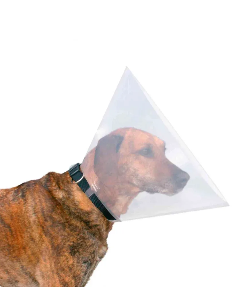Trixie Colar Isabelino Transparente – Colar de proteção para cães e gatos
