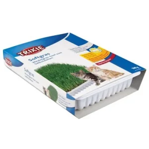 Trixie erva macia – sementes para cultivar