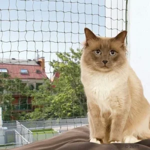 Trixie rede protetora para gatos - verde-escuro