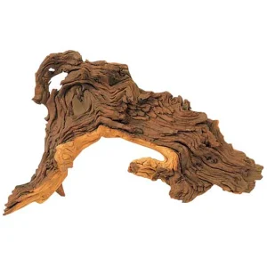 TRONCO MOPANI