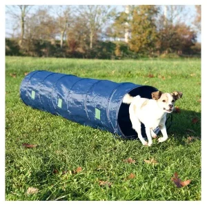Túnel Agility