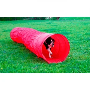 Túnel de Agilidade para cão – 5m/60cm