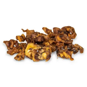 VADIGRAN – CONCHAS DE ORELHA DE PORCO
