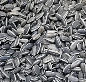VERSELE LAGA GIRASSOL RAIADO MIUDO 800GR