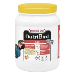 Versele-Laga NutriBird A19 – Papa de criação à mão para araras e papagaios