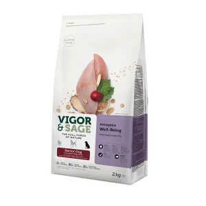 Vigor & Sage Astragalus Senior – Alimento para gatos sénior