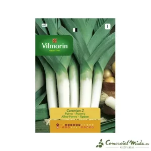 VILMORIN Alho-poró Sementes Carentan 2 5gr