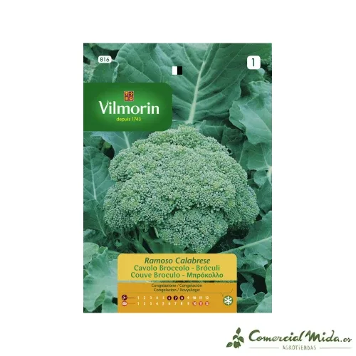 VILMORIN Calabrese Ramoso Sementes de Brócolis 9gr