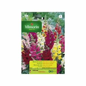 VILMORIN Média Anã Antirrhinum Sementes Variadas 0,6gr