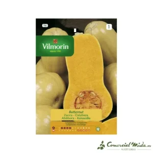 VILMORIN Semente de Abóbora Butternut 7gr