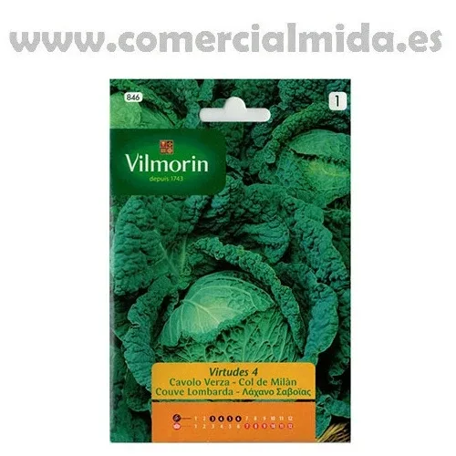 VIRTUDES DE SEMENTES DE REPOLHO MILÃO 4 Vilmorin 6g