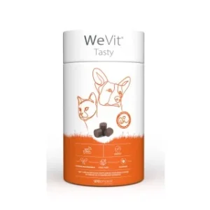 WeVit Tasty 30 Chews – Wepharm