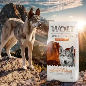 Wolf of Wilderness "Explore The Mighty Summit" Performance - sem cereais