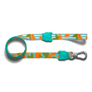 ZEE.DOG FLORIDA LEASH