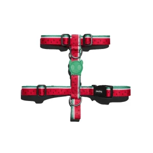 Zee.Dog H-Harness Lola – Peitoral em H para cães