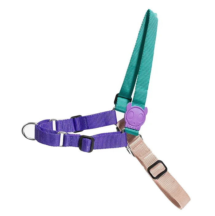 ZeeDog Boogie Soft Walk