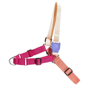ZeeDog Cinnamon Soft Walk