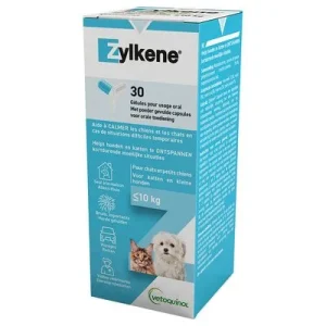 Zylkene tranquilizante natural para cães e gatos